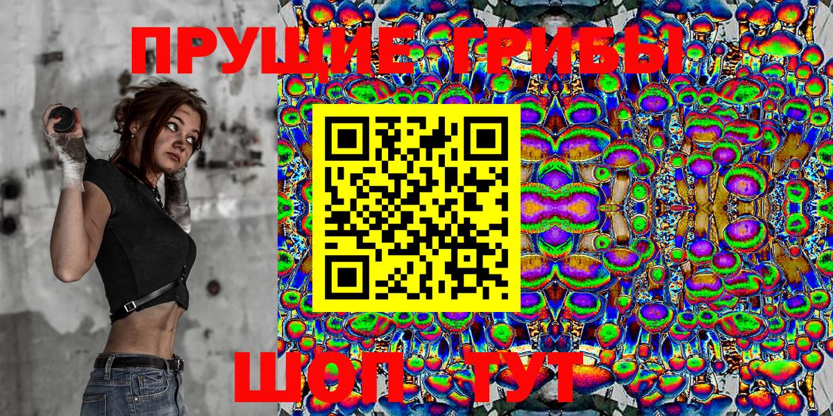Пугачёв  Галлюциногенные грибы Psilocybine cubensis  Вход с VPN 